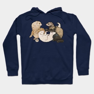 Playful Ferrets Hoodie